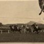 Sport_Illustrato_e_Guerra_III_17_30_09_1915_52