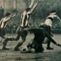 Il_calcio_illustrato_II_n_19_11_05_1932_53