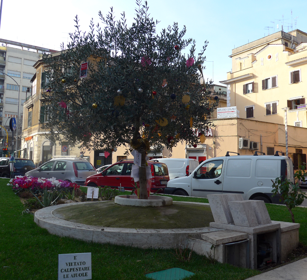 Ulivo della Pace, Piazza della Marranella  [CC BY NC SA]